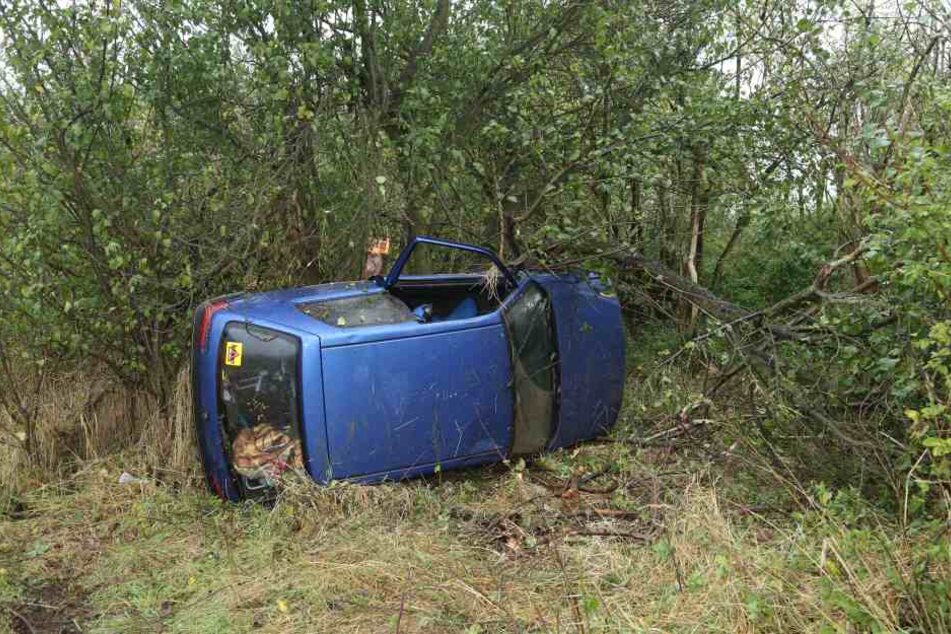 Der Peugeot landete in einem angrenzenden Waldstück.