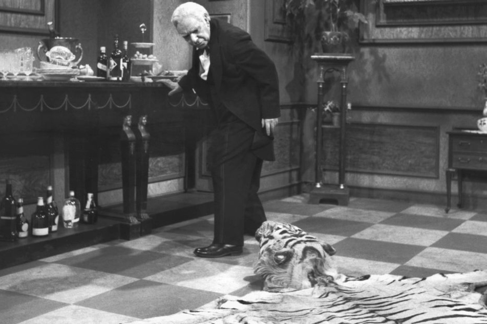 Im Verlauf des Film stolpert Butler James mehrmals über den Kopf des Tigers.