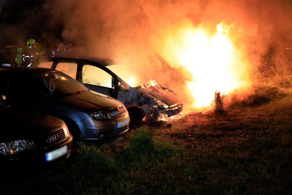 Durch die Flammen wurden mehrere Autos zerstört.