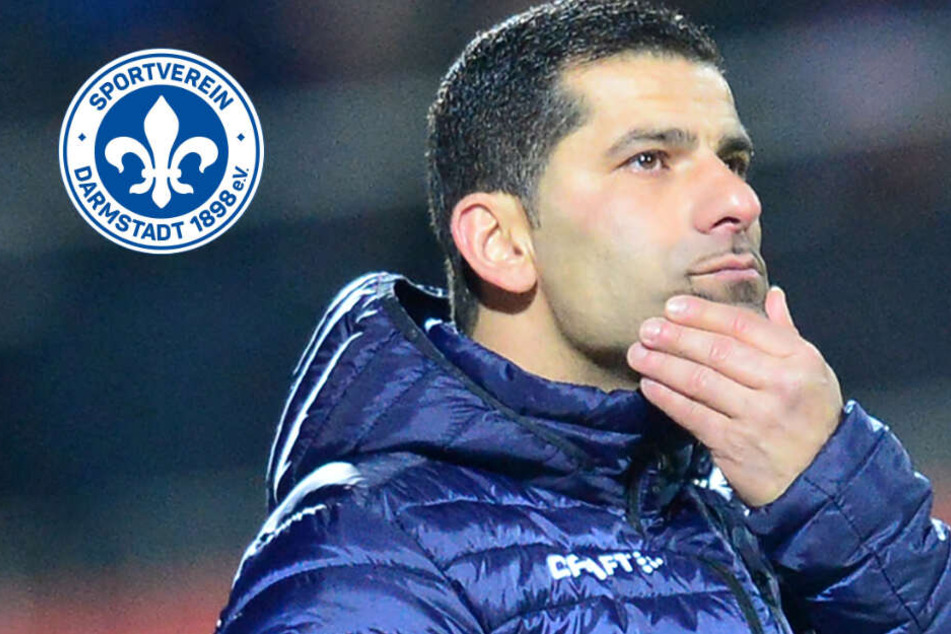 SV Darmstadt 98 News zum Verein, Transfermarkt und ...