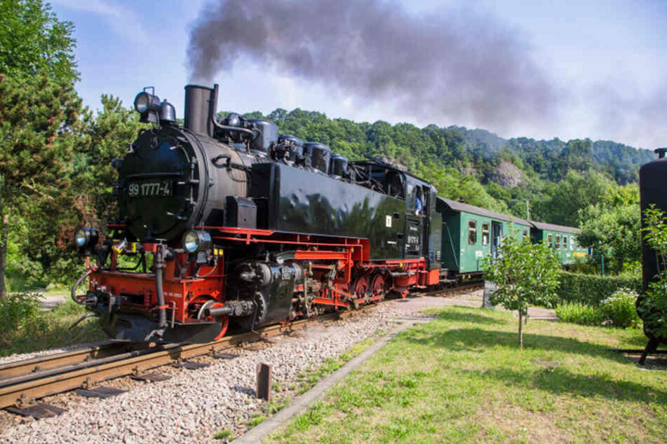 Die Weißeritztalbahn fährt zwischen Freital und Kipsdorf.