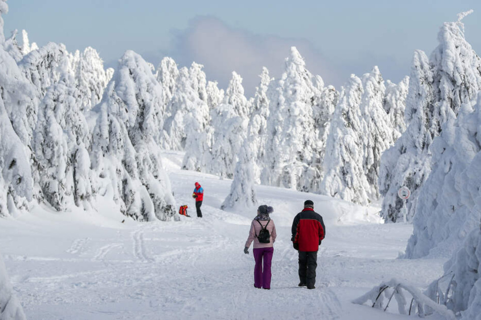 Nicht nur Skifahren waren im Erzgebirge unterwegs, sondern auch Wanderer.