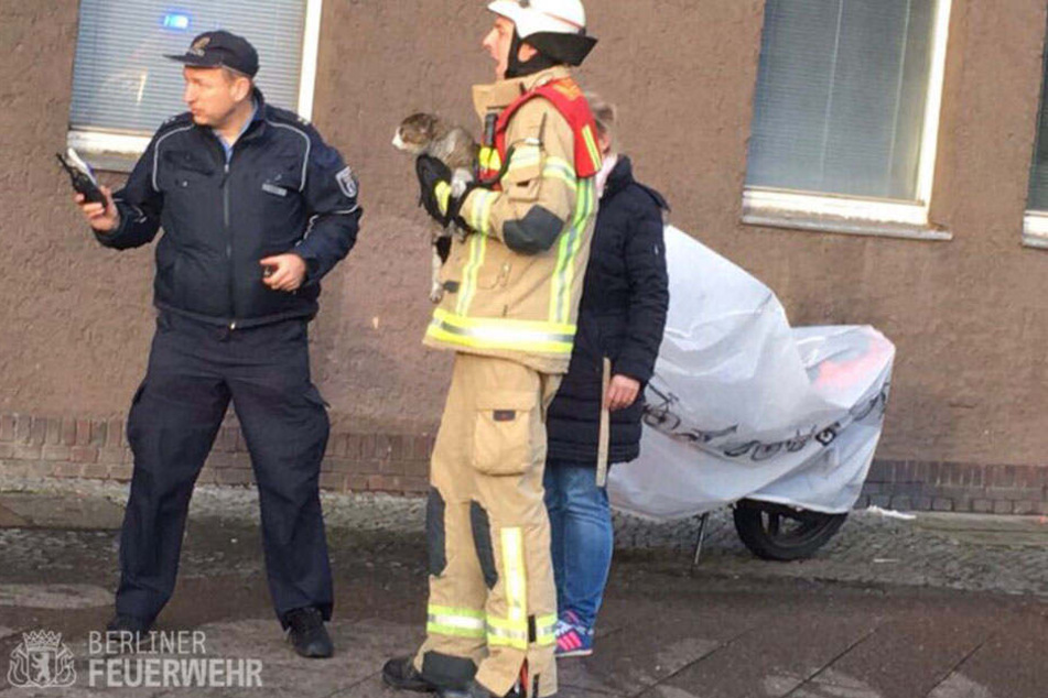 Ein Feuerwehrmann hält die Katze nach der Rettung fest im Arm.