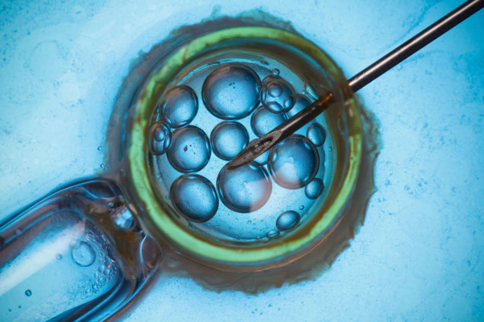 Die 32-Jährige wurde mithilfe einer In-vitro-Fertilisation befruchtet.
