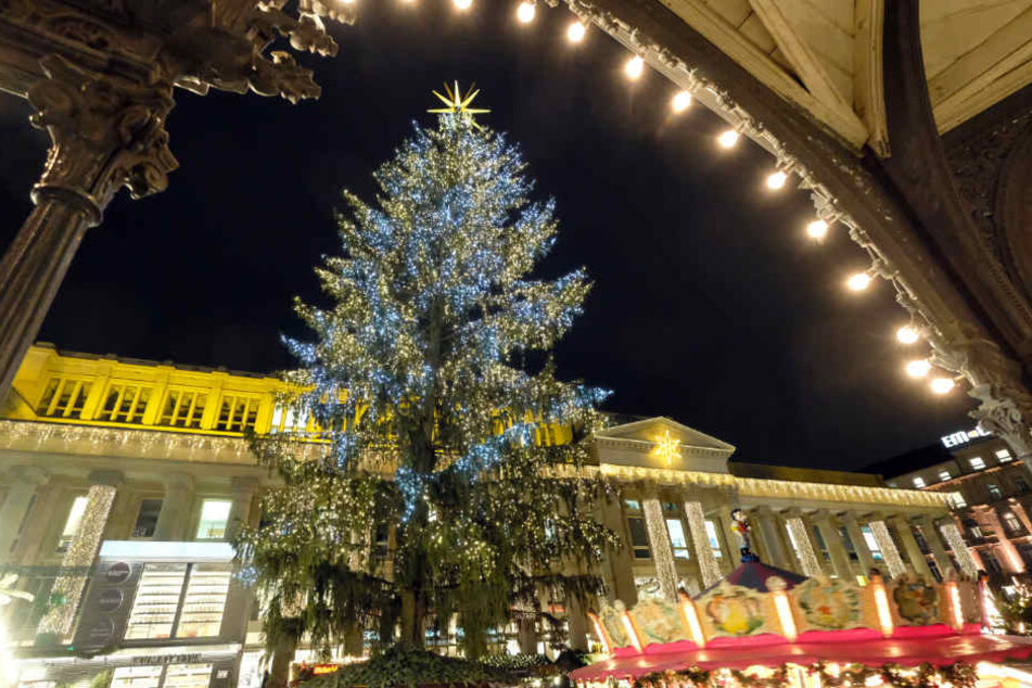 Im letzten Jahr schmückte dieser Prachtbaum den Schlossplatz.