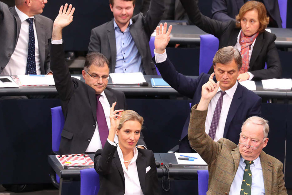 Die AfD-Fraktion verlangte den Hammelsprung - Die Feststellung der Beschlussfähigkeit.