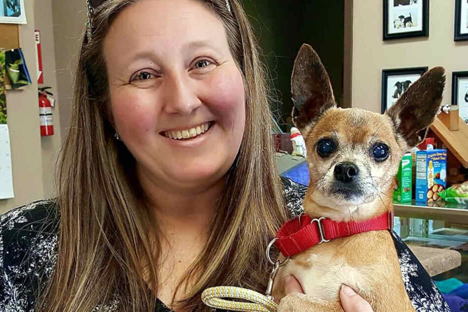 Jessica Lynn Howard schenkte dem Chihuahua ein neues Zuhause.