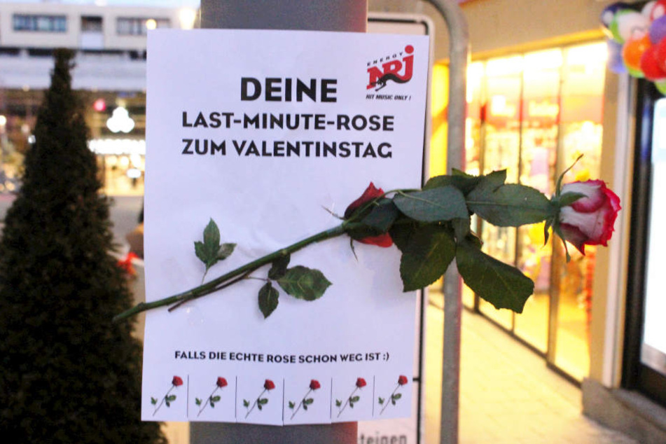 Überall in Ludwigsburg wurden vom Radiosender Energy gratis Rosen-to-go aufgehängt.