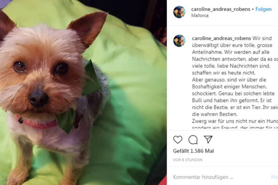 Via Instagram bedanken sich Caro und Andreas für die große Anteilnahme.