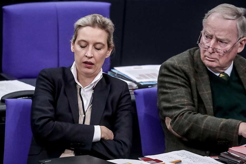 Fraktionsvorsitzende der AfD Alice Weidel und Co-Vorsitzender Alexander Gauland.