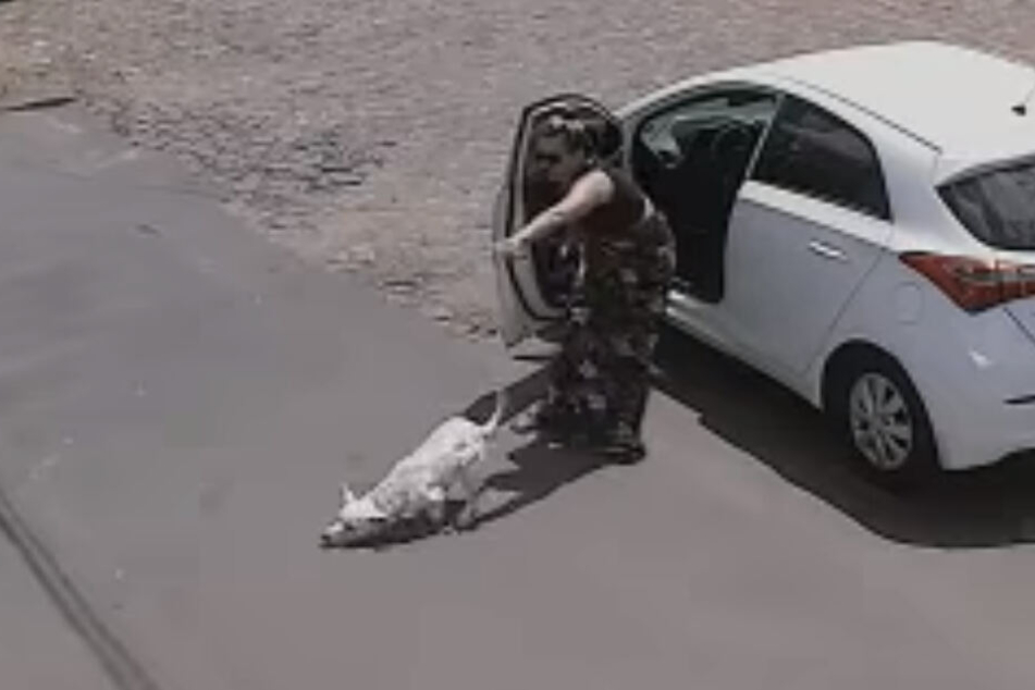 Zweimal am selben Tag setzte diese Frau ihren Hund aus.