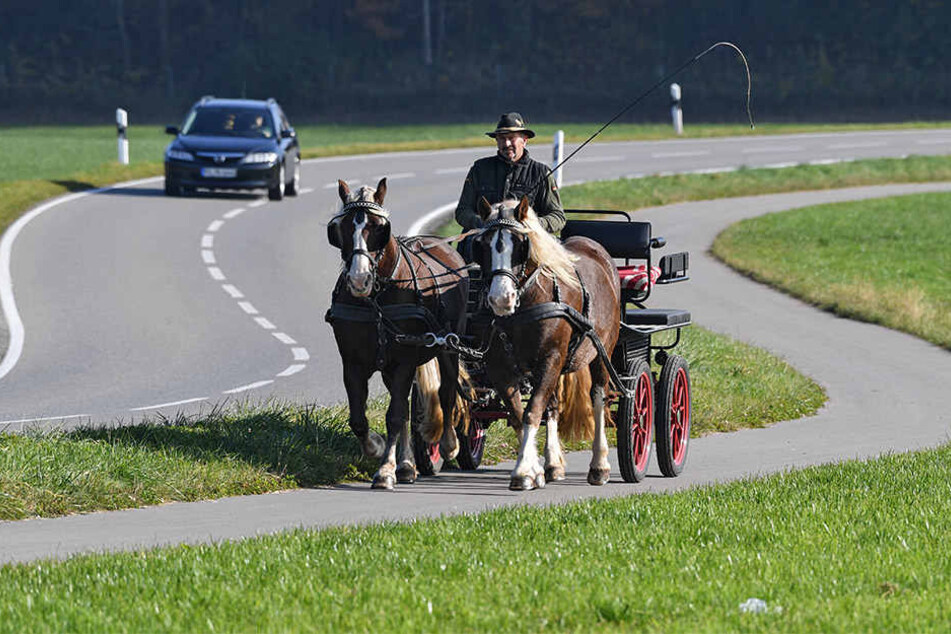 Nach einem tödlichen Kutschen-Unfall in Querfurt fordern Tierschützer ein Fahrverbot im Saalekreis (Symbolbild).