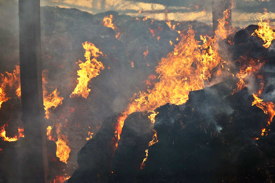 Die Feuerwehr ließ die Ballen kontrolliert abbrennen. (Symbolbild)