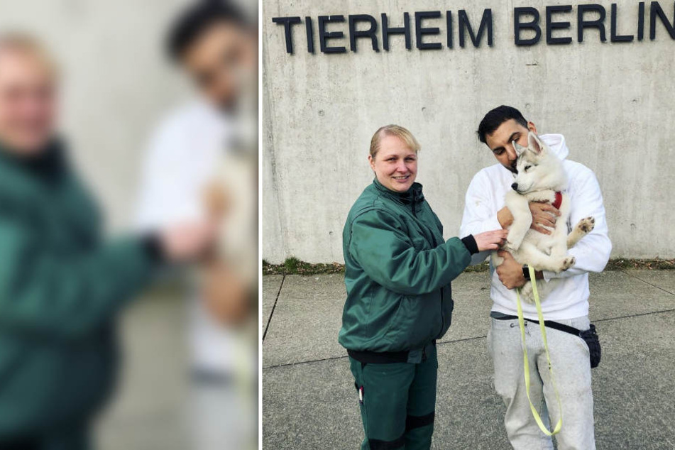 Im März nahm Attila Hildmann den kleinen Welpen auf und schenkte ihm ein neues Zuhause.