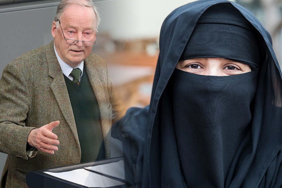 Die AfD-Fraktion hat einen Antrag für einen generelles Verbot der Vollverschleierung in der Öffentlichkeit vorgelegt.