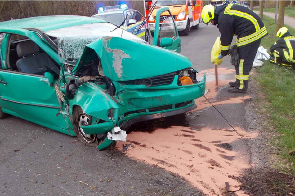 Nachdem der Polo gegen den Baum krachte, drehte er sich und blieb quer auf der Straße stehen.