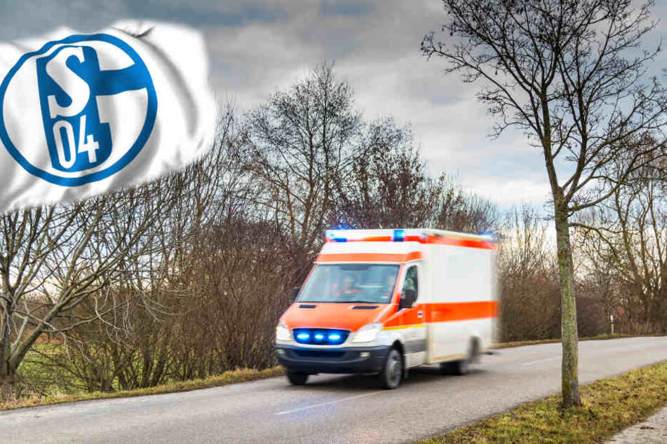 Zwei Schalker Anhänger waren im Fanblock gestolpert, einer von ihnen erlitt eine schwere Kopfwunde. (Symbolbild)