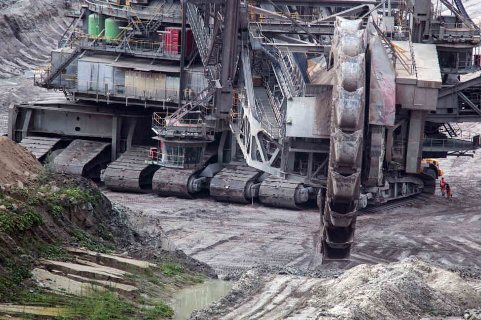 Ein Schaufelradbagger arbeitet im Tagebau Hambach bei Kerpen (Archivbild).