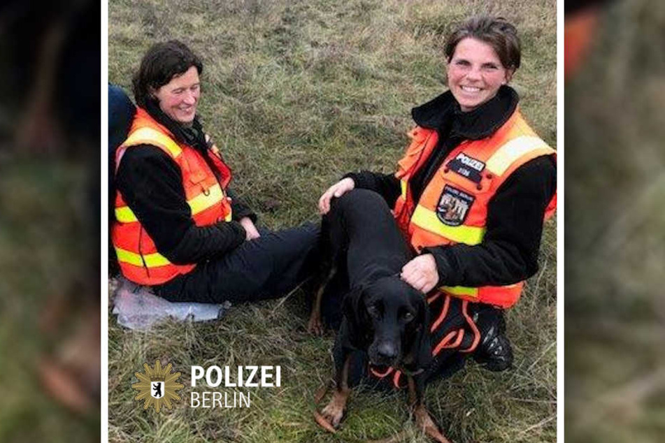 Benji ist der Held des Tages und hat sich eine Extraportion Leckerlis verdient.