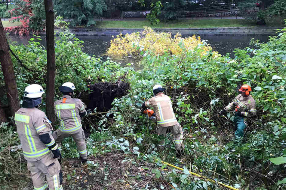 Die Feuerwehr hatte am Vormittag noch wenige Einsätze, der Einsatz am Landwehrkanal zählte zu den größeren.
