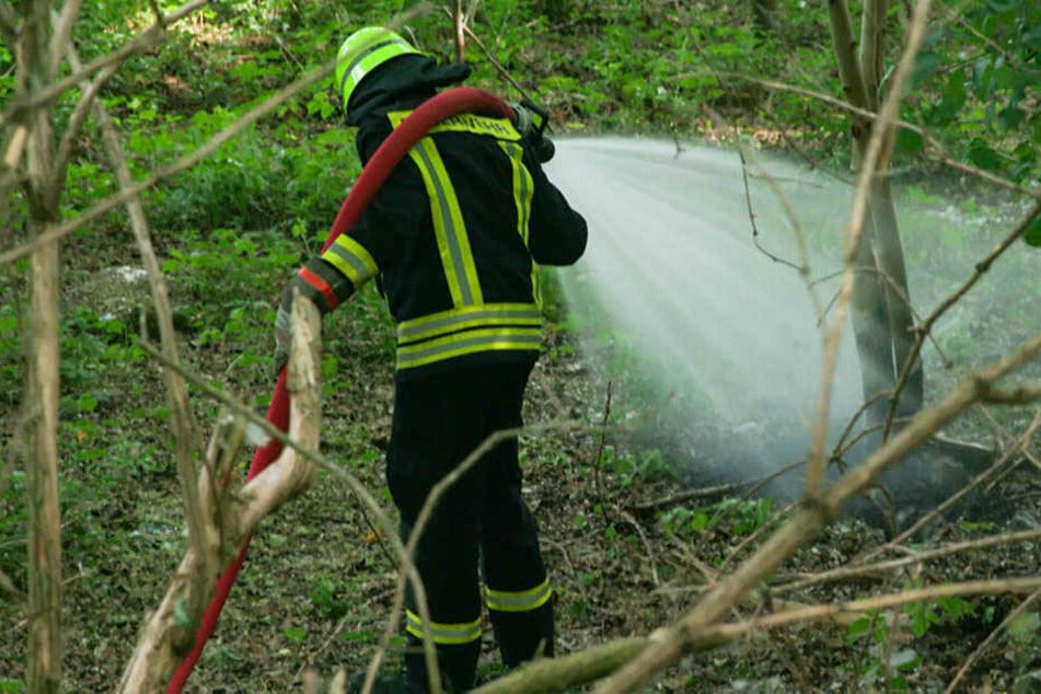 Die Feuerwehr konnte das Feuer unter Kontrolle bringen.