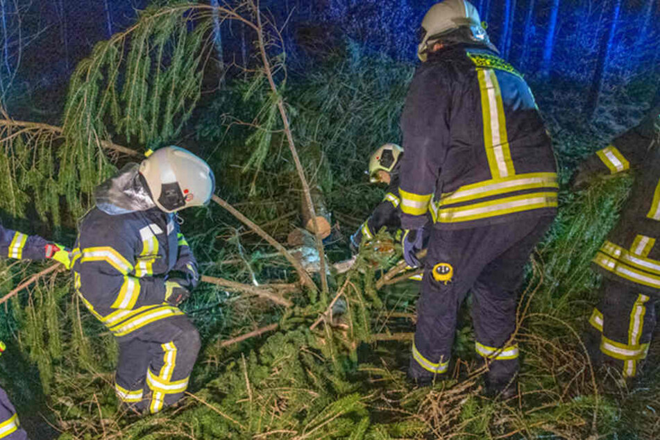 Hier kommt keiner durch! Feuerwehrleute stehen gleich vor mehreren umgekippten Bäumen.