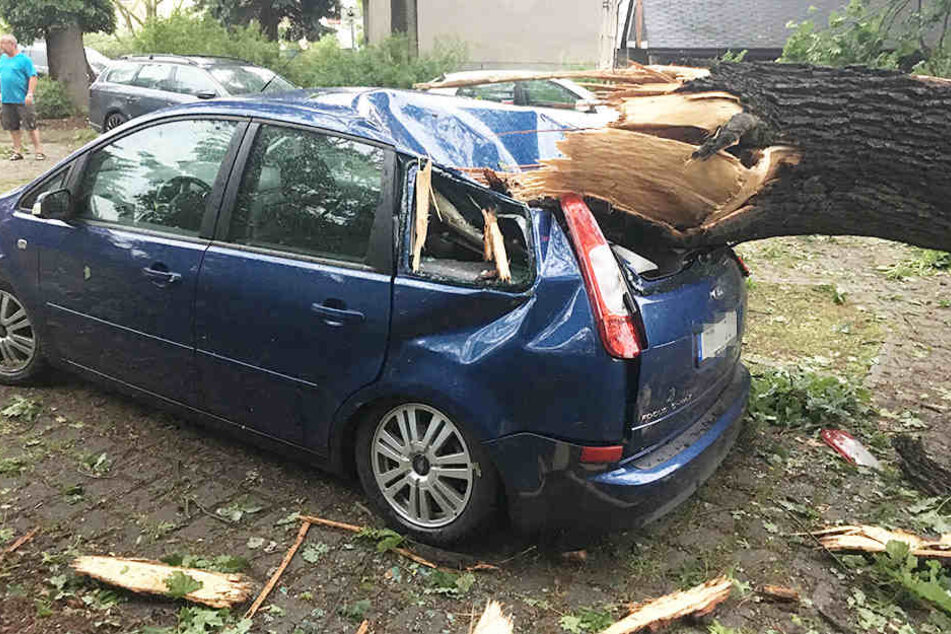 In Königsbrück erwischte es auch mehrere Autofahrer. Viele Bäume wurden zur Gefahr.
