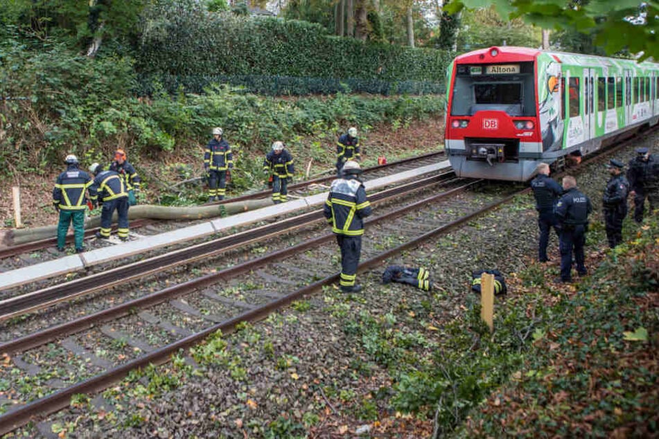 Die Feuerwehrkräfte befreiten die Bahnstrecke von dem umgestürzten Ast.