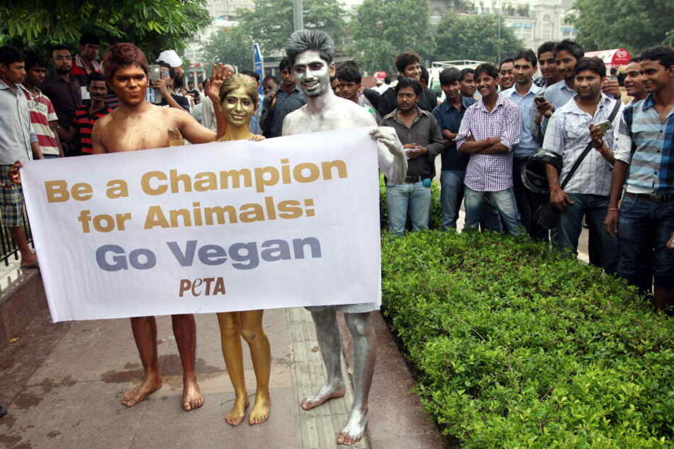Auch PETA setzt sich für den veganen Lebensstil ein. Mit einer Demonstration wären die fast 100 Kaninchen jetzt verschont geblieben (Symbolbild).