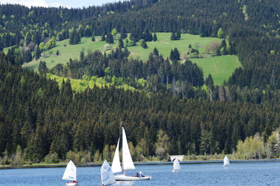 Auch am Schluchsee im Schwarzwald wurden immer wieder Schüsse gehört.