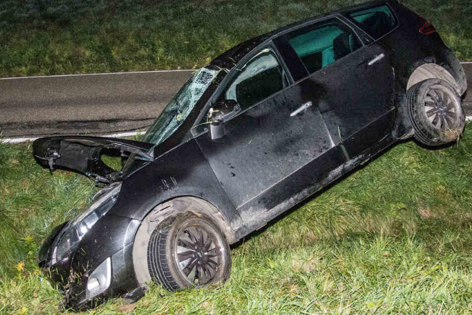 Als der Fahrer dem Wild auf der Fahrbahn ausweichen wollte, konnte er gerade noch ausweichen - und landete im Graben.
