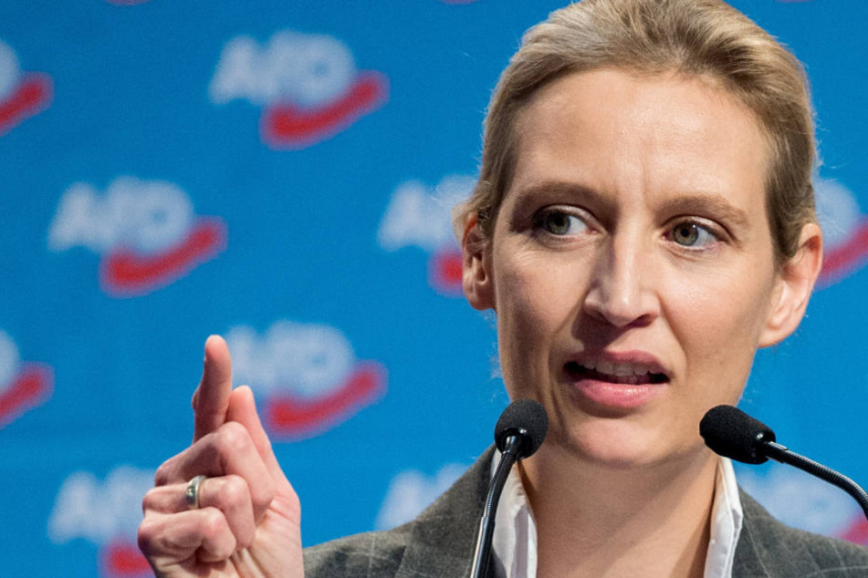 Ist gut darin die Schuld auf die Medien zu schieben: AfD-Fraktionschefin Alice Weidel. (Symbolbild)