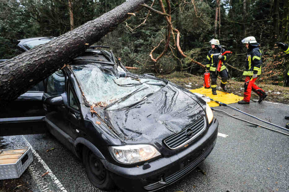 Auf der Lämershagener Straße in Bielefeld stürzte ein Baum auf ein Auto.