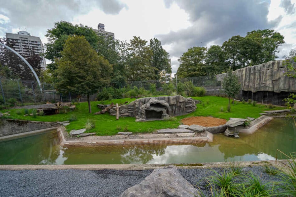 Die umgebaute und sanierte Anlage für die Asiatischen Löwen im Kölner Zoo.