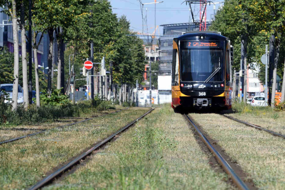 Kontrolleure fanden den Mann in einer Bahn der Linie S2. (Archiv)