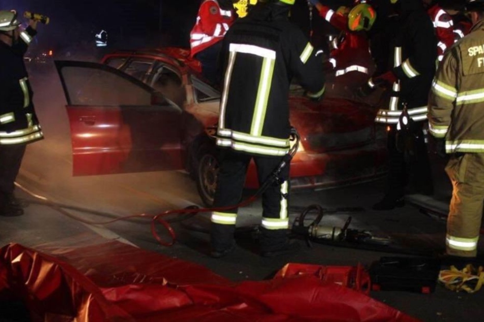 Der Autofahrer wurde schwer verletzt.