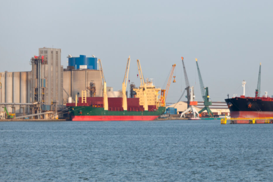 Im Hafen von Antwerpen wurden die Fahnder fündig: 1,2 Tonnen Kokain wurden sichergestellt. (Archivbild)