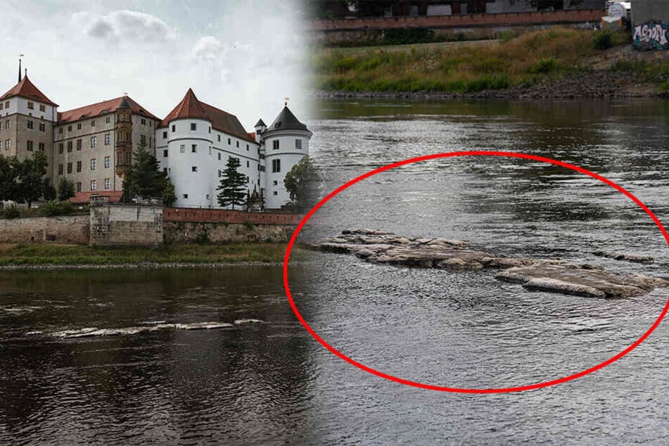 Auch unterhalb des Schlosses Hartenfels in Torgau ist die Elbe deutlich "ausgedünnt". Sogenannte "Hungersteine" tauchen wieder auf.