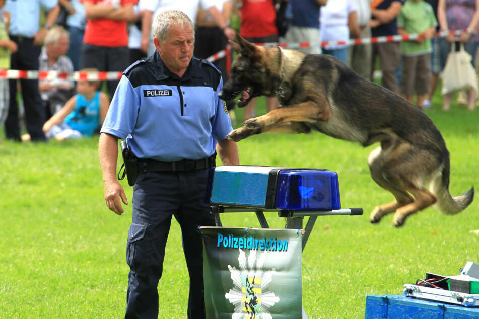 Die Hundestaffel ist auch beim Fest dabei und zeigt ihr Können.