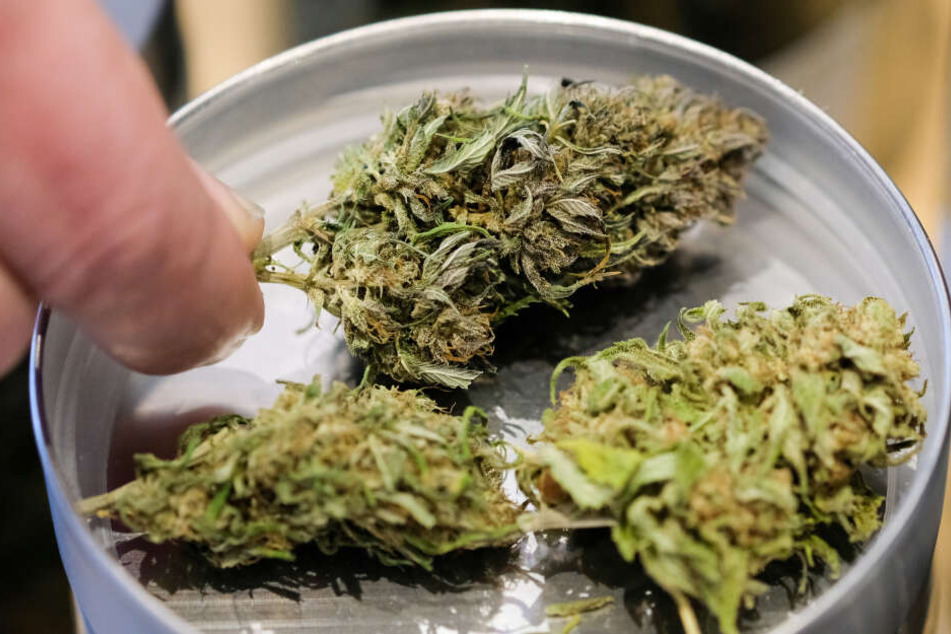 Seit 2017 können Patienten sich Cannabis zu medizinischen Zwecken regulär beim Arzt verschreiben lassen. Von 2020 an will eine Firma Cannabis im Auftrag des Bundes mitten in Schleswig-Holstein anbauen.