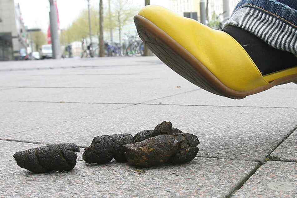 Hundekot liegt auf einem Fußweg, in den eine Frau hineinzutreten droht.