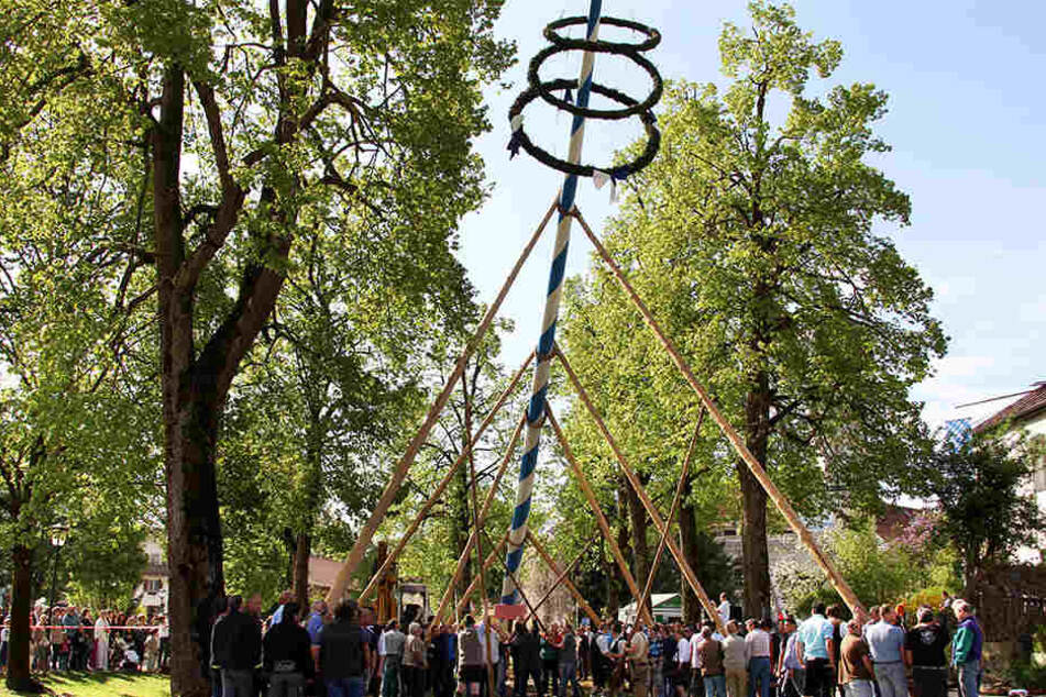 Dreiste Diebe haben den Maibaum von Küsel einfach mit einer Kettensäge zersägt (Symbolbild).