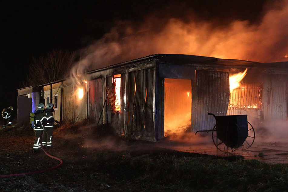 In der Lagerhalle eines Fischhandels brach das Feuer gegen 3.45 Uhr am Sonntagmorgen aus.