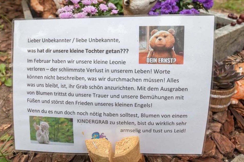 Herzzerreißender Brief an die Diebe:
Doch entweder können diese nicht
lesen oder wollen die Botschaft
nicht verstehen.