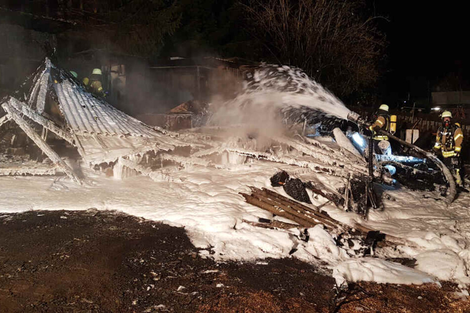 Die Feuerwehrkräfte versuchten alles, dennoch starben bei dem Brand viele Tiere.