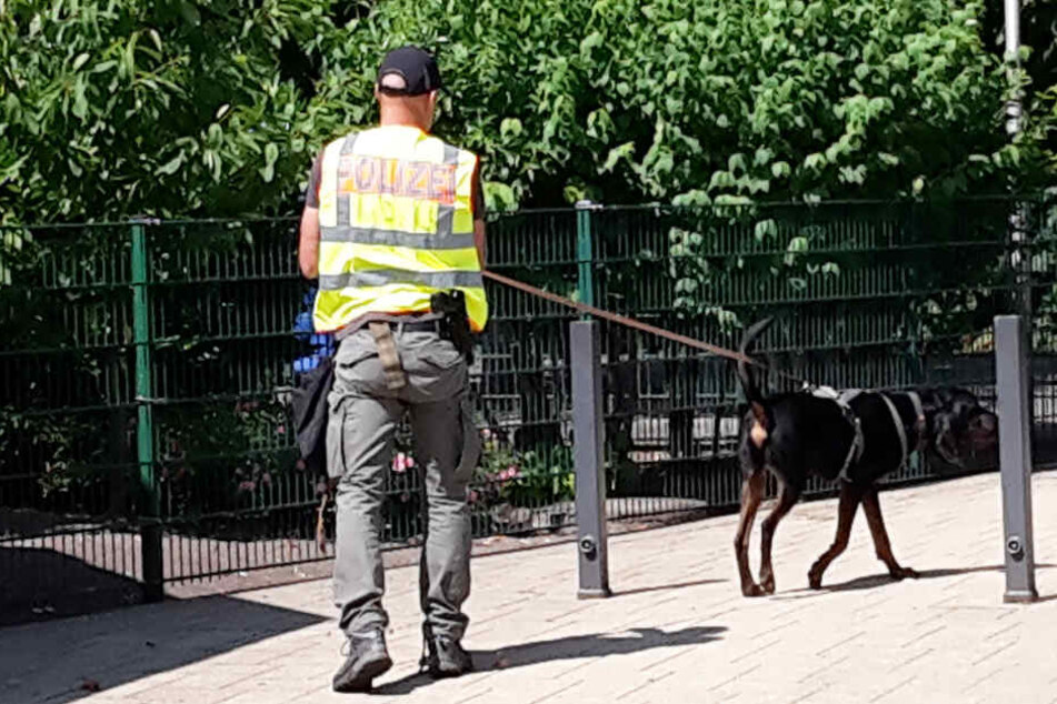 Ein Spürhund war im Einsatz, um belastendes Material zu suchen.