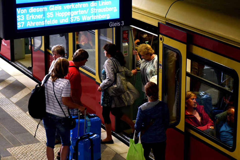 Die S-Bahn-Strecke zwischen Erkner und Friedrichshagen ist derzeit unterbrochen. (Symbolbild)