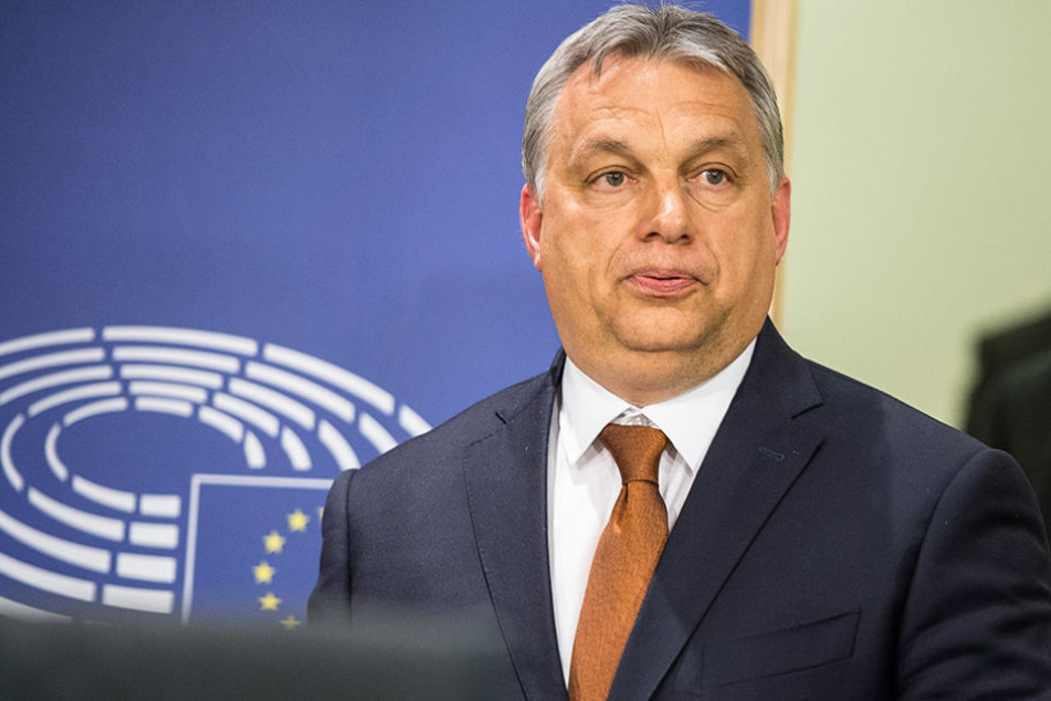 Viktor Orbans Anti-Terroreinheit TEK sah in zwei Briten eine Bedrohung und ließ sie des Landes verweisen.