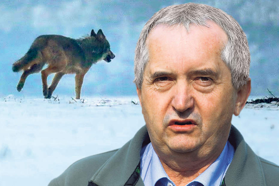 Sein Haus hat die neuesten Erkenntnisse
zu „Pumpak“ veröffentlicht: Umweltminister
Thomas Schmidt (55, CDU).