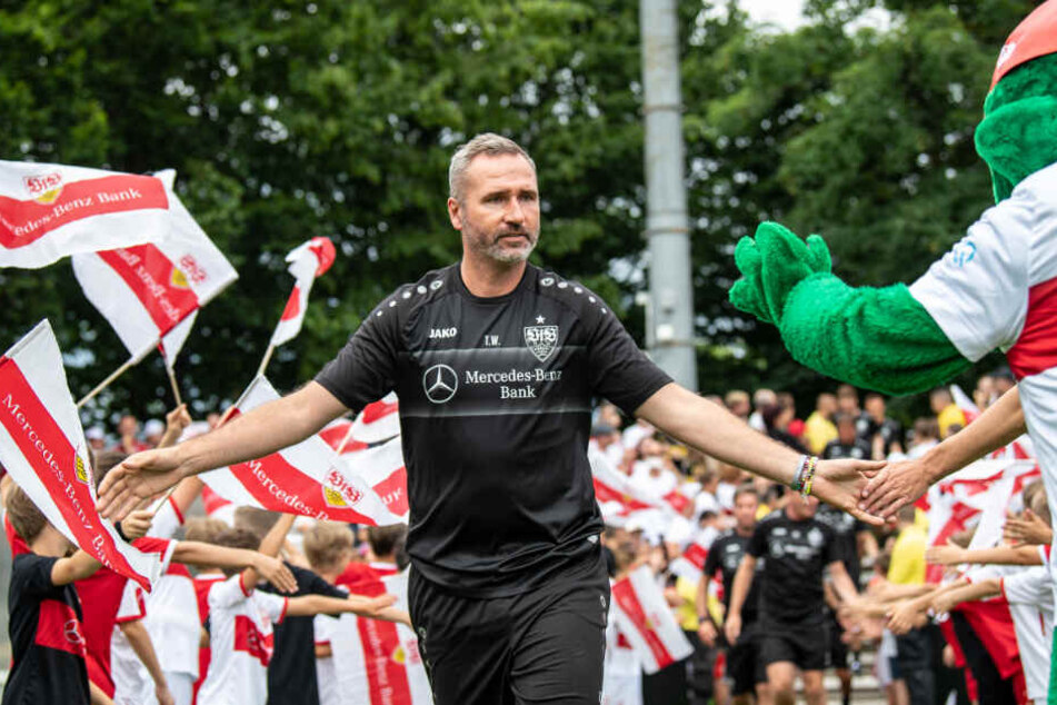 VfB-Trainer Tim Walter beim Trainingsauftakt.
